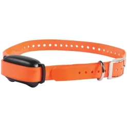 Collier de dressage 600 m étanche et rechargeable*PROHUNT Online