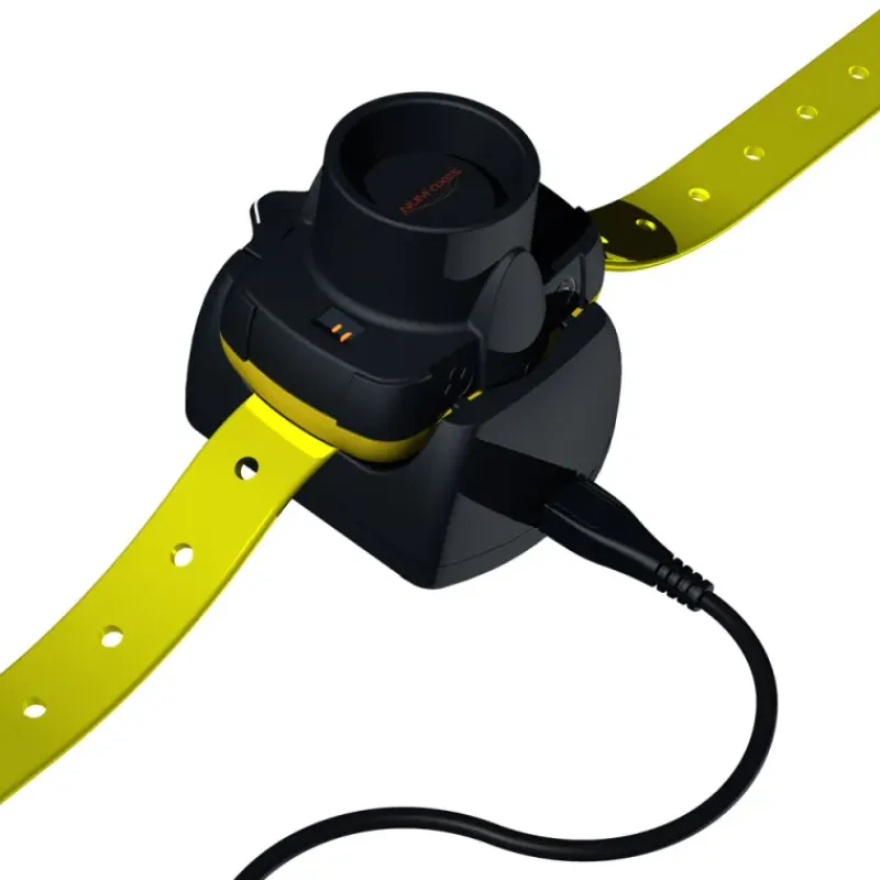 Collier de repérage sonore Canibeep 5*Num'axes Outlet