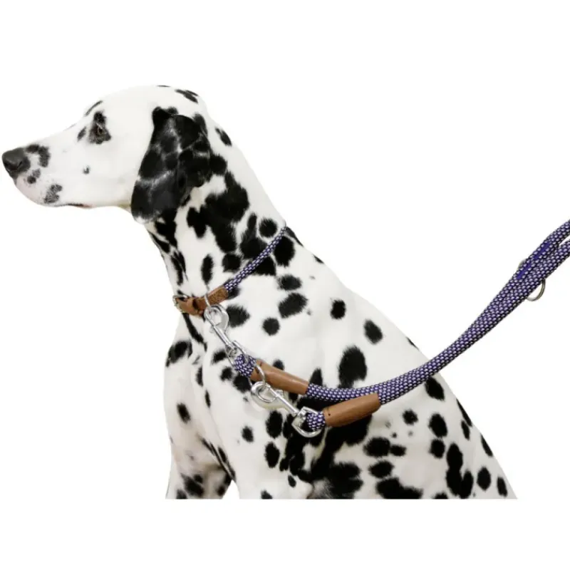 Collier pour chien en corde 30 - 40 cm* Sale