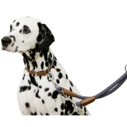 Collier pour chien en corde 40 - 55 cm*