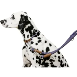 Collier pour chien en corde 45 - 65 cm* Sale
