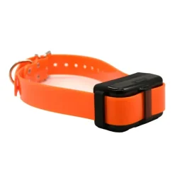 Collier Supplémentaire pour DT2000 en nylon orange* Online