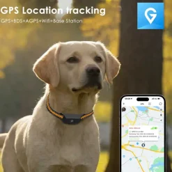 Collier traceur GPS 4G pour animaux - IP65 - Application gratuite* Sale