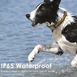 Collier traceur GPS 4G pour animaux - IP65 - Application gratuite* Sale