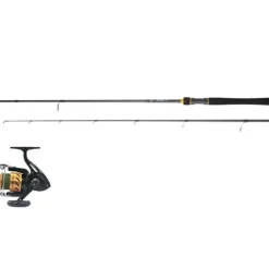 Combo Spinning Daiwa + Tresse Carnassiers Leurres Légers*Daïwa Best