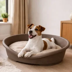 Corbeille pour chien en plastique 50x38x22 cm* Clearance