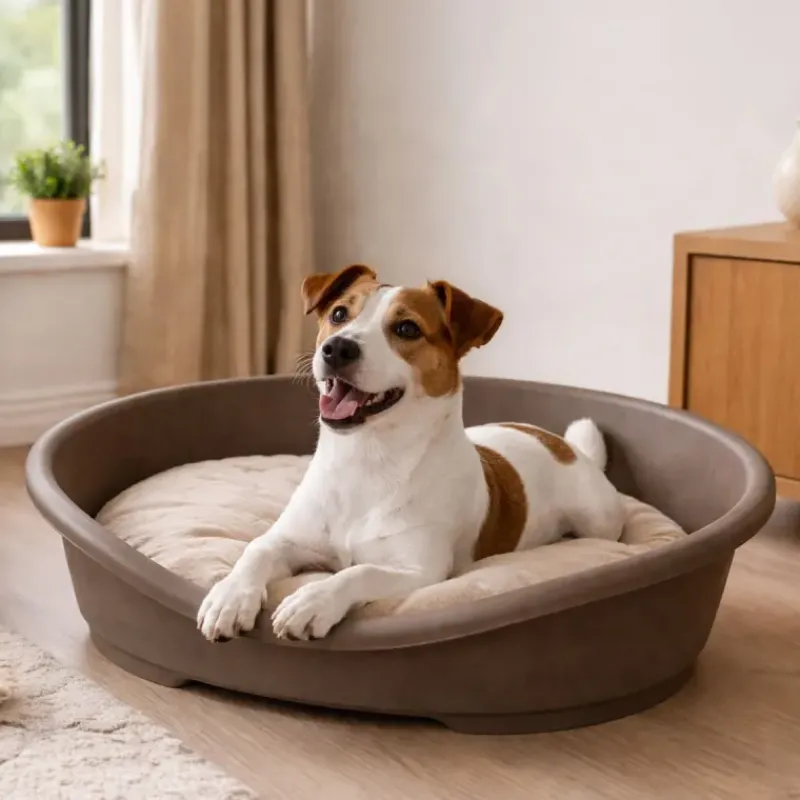 Corbeille pour chien en plastique 50x38x22 cm* Clearance