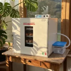 Couveuse + 2 Tiroirs caille à poule + 2 Paniers d'éclosion + 1 Kit humidification*MAINO Best