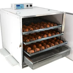 Couveuse automatique Mini Pro 147 Digitale*MAINO Hot