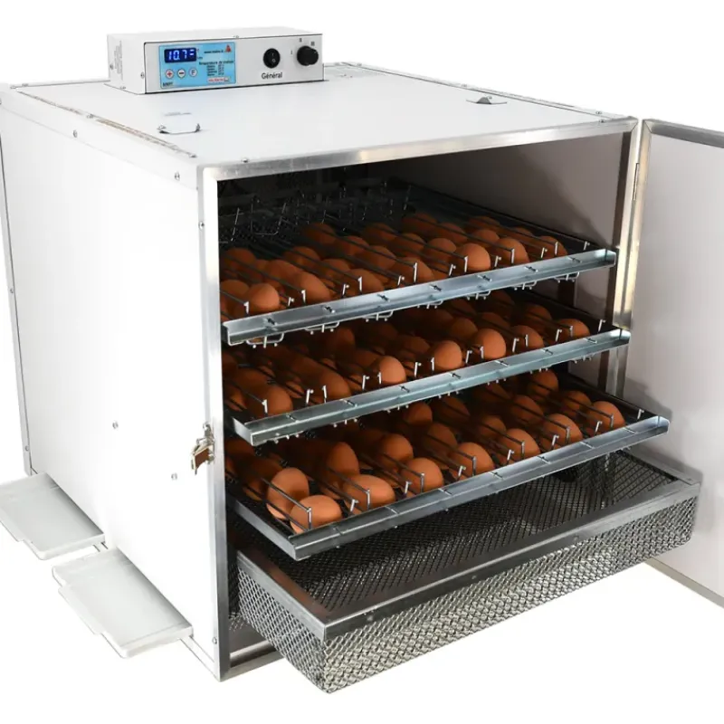 Couveuse automatique Mini Pro 147 Digitale*MAINO Hot