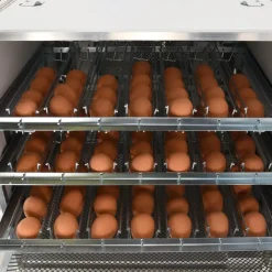 Couveuse automatique Mini Pro 147 Digitale*MAINO Hot