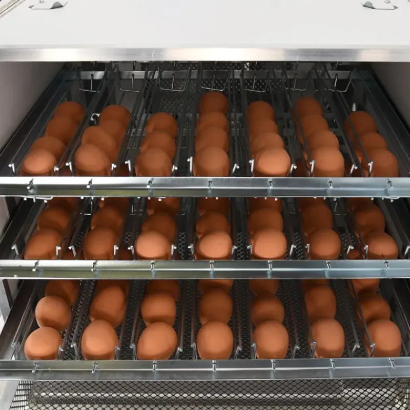 Couveuse automatique Mini Pro 147 Digitale*MAINO Hot