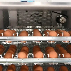 Couveuse automatique Mini Pro 147 Digitale*MAINO Hot