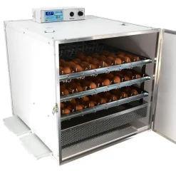 Couveuse automatique Mini Pro 147 Digitale*MAINO Hot