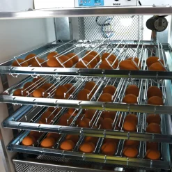 Couveuse automatique Mini Pro 196 Digitale*MAINO New