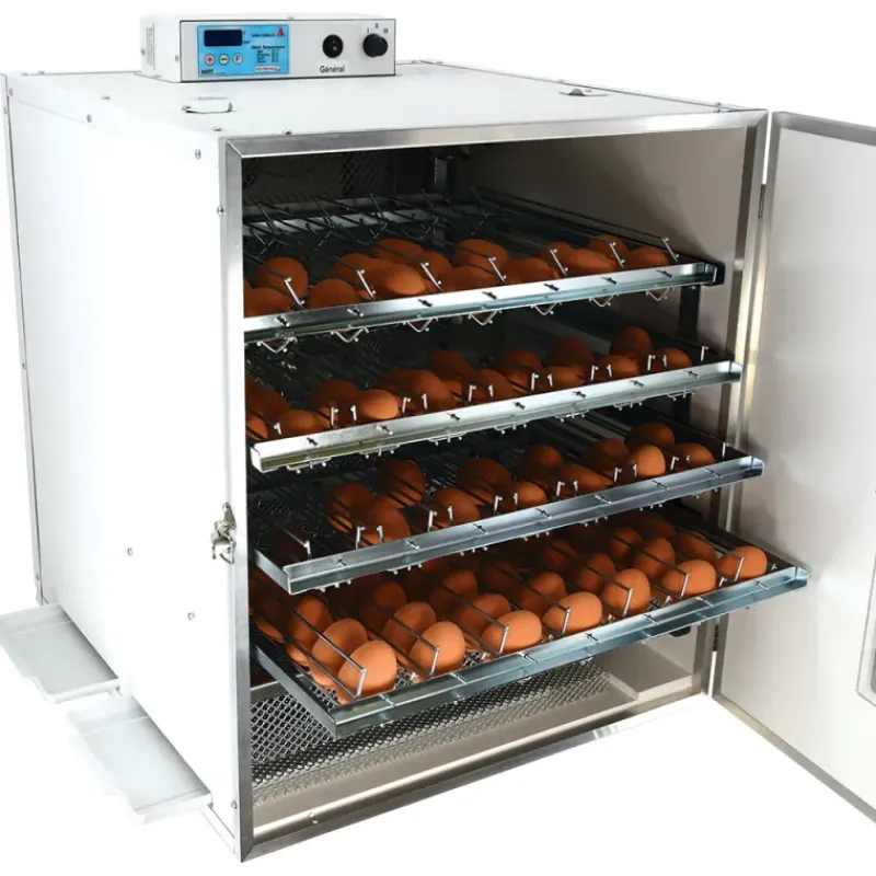 Couveuse automatique Mini Pro 196 Digitale*MAINO New