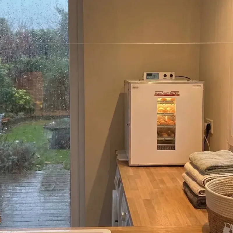 Couveuse automatique Mini Pro 196 Digitale*MAINO New