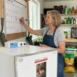 Couveuse automatique Mini Pro 196 Digitale*MAINO New