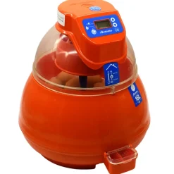 Couveuse automatique Covatutto 16L Pro*Novital Outlet