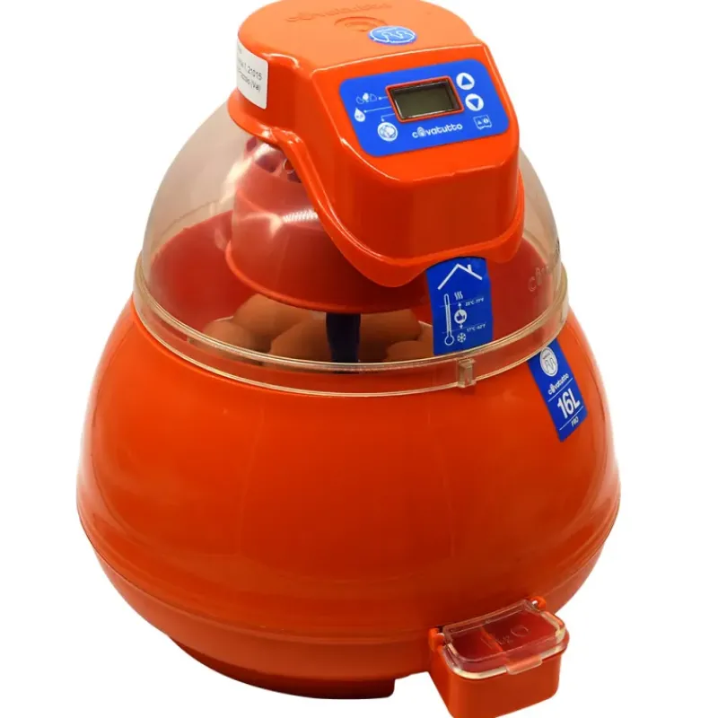 Couveuse automatique Covatutto 16L Pro*Novital Outlet