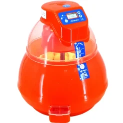 Couveuse automatique Covatutto 16L Pro*Novital Outlet