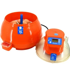 Couveuse automatique Covatutto 16L Pro*Novital Outlet