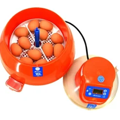 Couveuse automatique Covatutto 16L Pro*Novital Outlet