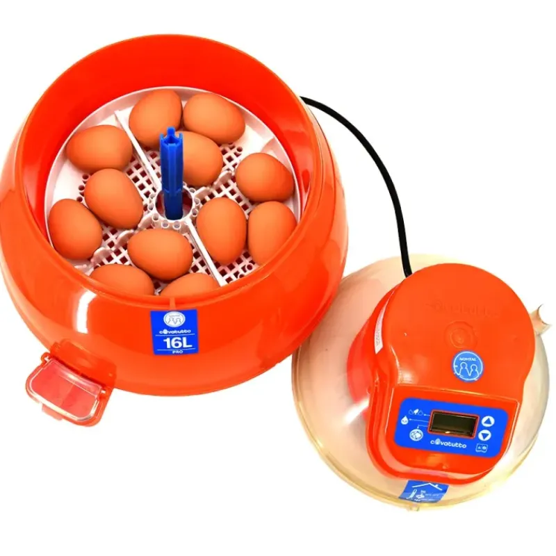 Couveuse automatique Covatutto 16L Pro*Novital Outlet