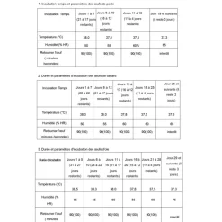 Couveuse Automatique PRO ® 272 œufs - Incubation Haute Performance*Couvitech Sale