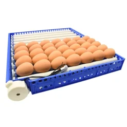 Couveuse Automatique PRO ® 68 œufs - Incubation Haute Performance*Couvitech Hot