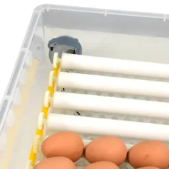 Couveuse automatique SP ® 64 œufs - Incubation professionnelle*Couvitech Sale