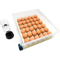 Couveuse Automatique SP ® 36 Œufs - Incubation Professionnelle et Fiable*Couvitech Outlet