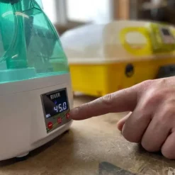 Couveuse ET Biomaster SUPER 49 + Nebula – Pack 49 œufs*River Systems Clearance