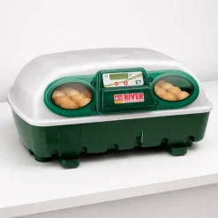 Couveuse semi automatique 24 oeufs Egg Tech 24*River Systems New