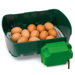 Couveuse semi automatique 12 oeufs River System Egg Tech 12*River Systems New