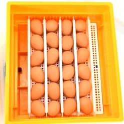 Couveuse semi-automatique Covatutto 24 Eco*Novital Hot