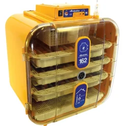 Couveuse semi-automatique Covatutto 162*Novital Hot