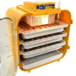 Couveuse semi-automatique Covatutto 162*Novital Hot