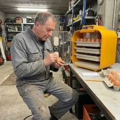 Couveuse semi-automatique Covatutto 162*Novital Hot