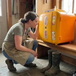 Couveuse semi-automatique Covatutto 108*Novital Outlet