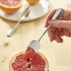 Cuillères à pamplemousse Acier inoxydable x2*Pradel France Discount