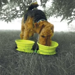 Double gamelle chien voyage rétractable silicone 700ml avec zip* Sale