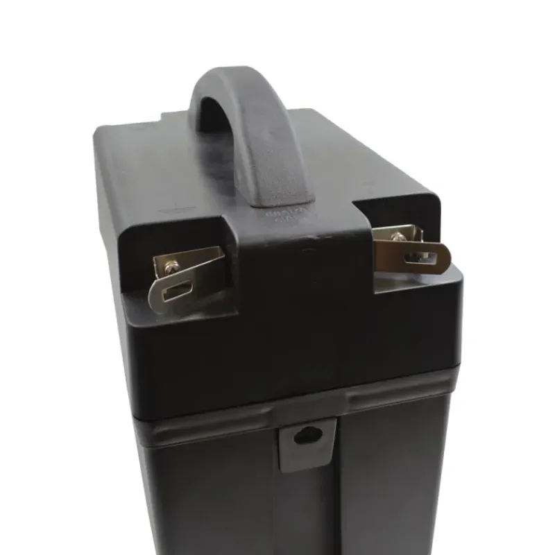 Electrificateur clôture sur pile Pilenclos 0,25J*Chapron-Lemenager New