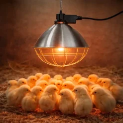 Eleveuse électrique large - 35cm* Online