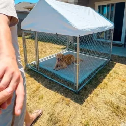 Enclos extérieur galvanisé avec toile imperméable 2x2x1,6 m* Discount