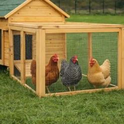 Enclos pour poulailler confort 80 X 75 X 60 cm*Ducatillon Discount