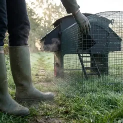Enclos standard 2m pour poulailler surélevé 8 à 15 poules* Hot