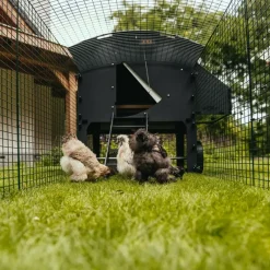 Extension de 1m pour enclos 2 m poulailler surélevé 8-15 poules* New