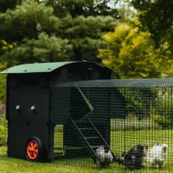 Extension de 1m pour enclos 2 m poulailler surélevé 8-15 poules* New