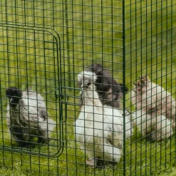 Extension de 1m pour enclos 2 m poulailler surélevé 8-15 poules* New